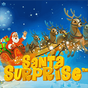 Christmas Surprise